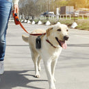 Always Looking Up: The Adventures of an Incurable Optimist [Paperback] Fox, Mi..