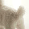 Realistic White Teddy Dog Simulation Dog Puppy Lifelike Handmade Stuffed H9V0