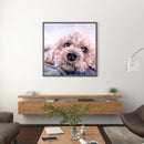 Pet Dog Frameless DIY Oil Paint by Numbers Hand Painting Wall Art Craft