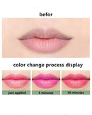 Aloe Vera Long-lasting moisturizing Lipstick Lip Care Color Changing Lip Balm