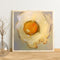 Hand Painted Oil Paint by Numbers DIY Poached Egg Drawing Wall Decoration Gift