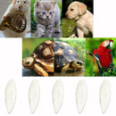 5Pcs/Set Cuttlefish Bone Cuttle Fish Bird Food Calcium HOT R9Y2 F Reptiles C6S1