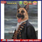 Gentleman Dog Oil Paint By Numbers Kit DIY Acrylic Painting on Canvas Framele