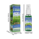 Professional Lawn Seed Sprinkler Grass Care Garden Tools for Home Outdoor G