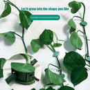 Green Fixator Holder Plant Radish Retainer Vine Support Indoor Finishing Clip