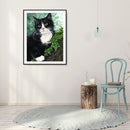 DIY Diamond Painting Kits Kitten Full Round Drill Wall Art Craft Home Decor