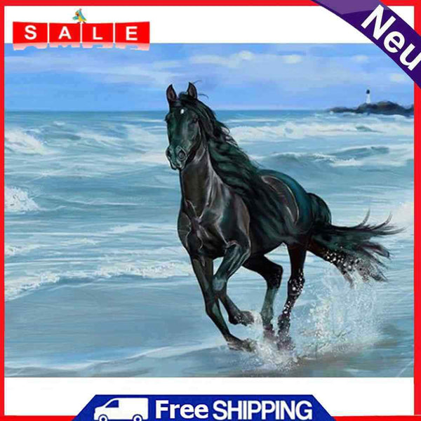 Seaside Horse Oil Paint By Numbers Kits Canvas Picture Gift for Adults Children