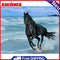 Seaside Horse Oil Paint By Numbers Kits Canvas Picture Gift for Adults Children