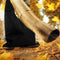 Durable Shredder Collection Sack Garden Leaf Bag Blower Bag Vacuum Storage Sack