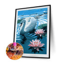 5D Mosaic Swan in Lake Full Round Drill Diamond Drawing Art Painting Handicra