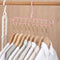 Clothes Wardrobe Hanger Hook Clothing Hanging Rack Shelf Organizer (Pink) Newly