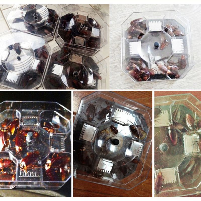 Household Cockroach Trap Box Cockroach Insect Pets Catcher Killer Traps for