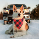 Pet Neckerchief Dog Plaid Triangle Scarf Collar Saliva Towel (Red Black) Newly