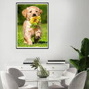 5D DIY Full Drill Diamond Painting Dog Embroidery Mosaic Craft Kits Home Decor