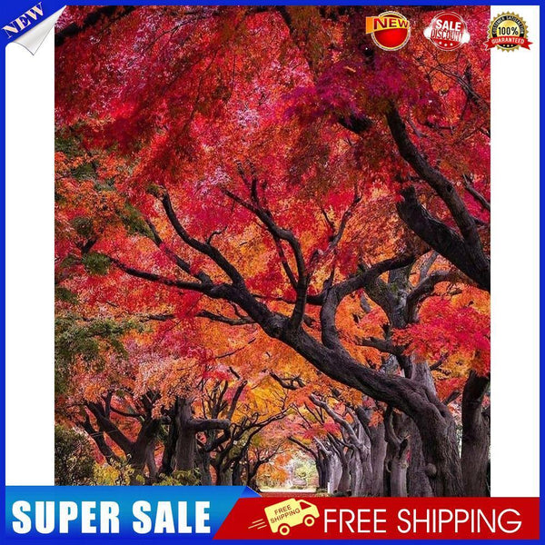 Path Scene Drawing Frameless DIY Oil Paint by Numbers Canvas Home Decor Kit