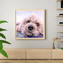 Diamond painting square diamond DIY animal puppy picture ZQF2505