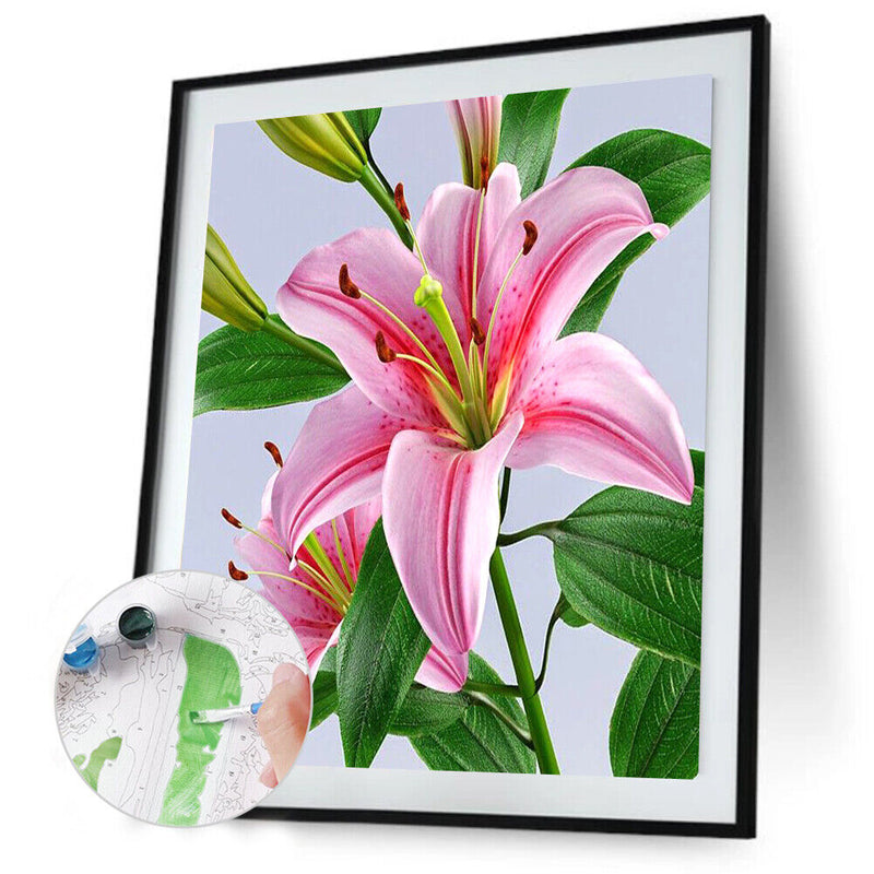 Special Flower 40x50cm Oil Paint By Numbers DIY Painting