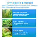 Algae Repellent Fish Tank Cleaning Powder Aquarium Algaecide Tank Moss Remover