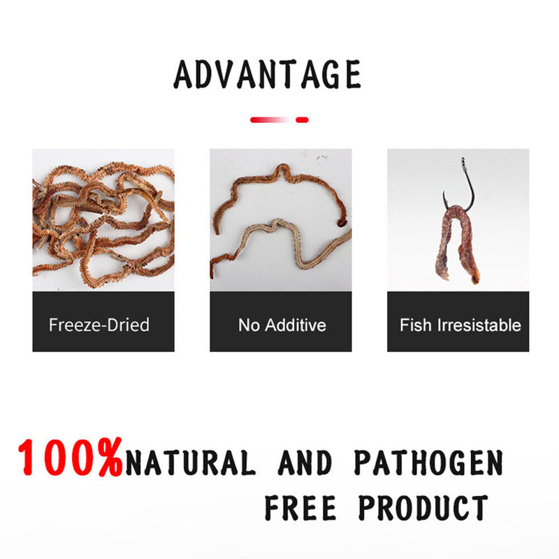 1 Bag Saltwater Freshwater Fishing Lures Sandworm Sea Fishing Artificial Ba