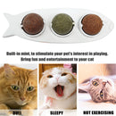 Cat Mint Ball Toys - Edible Cat Toys 3-in-1 Spinning Chewing Balls (White)