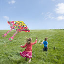 90x50cm Bright Cloth Colorful Butterfly Kite Outdoor Foldable Kites (B) Newly