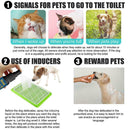 Dog Potty Training Aid Puppy Pet Toilet Training Spray Toilet 30ml 22 E1C6