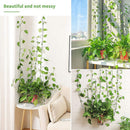 Invisible Plant Wall Rattan Clamp Clip Wall Vine Climbing Plant Stent Holders
