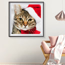 5D Diamond Painting Cat Full Round Drill Mosaic Art Home Wall Decor (A1075)
