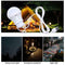 USB LED Bulb 5V Emergency Lamp Low Consumption Camping Light 2022 Best Tent Y0L0
