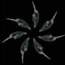 10pcs Unpainted Fishing Lure Body 8.8cm/7.12g Transparent T6G6 Lure Blank C4C4