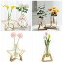 Triangle Rectangle Glass Test Tube Hydroponic Vase Iron Art Pentagram Heart