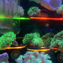 Fish Tank Fluorescence Coral Frag Rack Aquarium Reef w/ Plug Holder (Red) Newly
