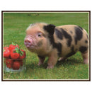 5D DIY Cute Pig Diamond Painting Embroidery Rhinestones Mosaic Cross Stitch