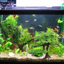 Artificial Plant Aquarium fish tank rockery bonsai hotel ornament decor