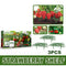 Strawberry Stand Balcony Vegetables Fruit Climbing Pillar Gardening Bracket