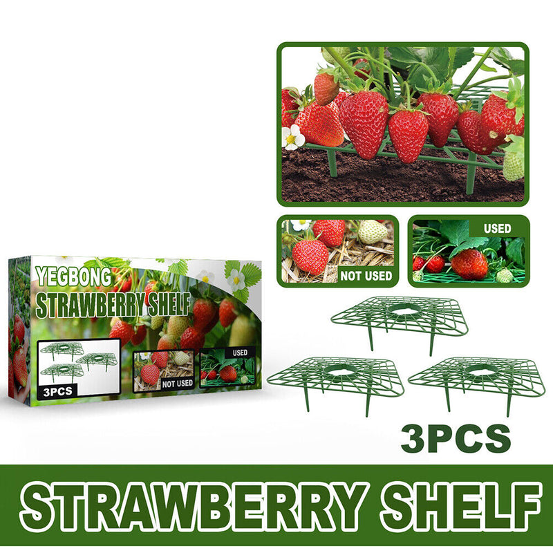 Strawberry Stand Balcony Vegetables Fruit Climbing Pillar Gardening Bracket