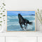 Seaside Horse Oil Paint By Numbers Kits Canvas Picture Gift for Adults Childr