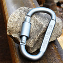 D-ring Locking Carabiner Clip Hanging Hook Buckle Outdoor EDC Tools (Grey) Newly