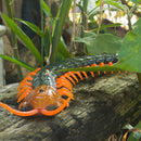 Remote Control Centipede Cat Interactive Toys with Egg Funny Toys (Black)