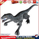 RC Simulation Dinosaur Toys with Lights Walking Roaring Dinosaur (Grey) Newly