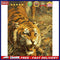 Hand Painted Painting By Numbers DIY Fierce Tiger Canvas Digital Picture Cr