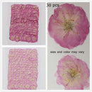 Jewelry Making Multi-purpose Real Dried Flowers Crafts Sakura Pressed Flowers