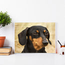 5D Diamond Painting Animal Full Round Drill Rhinestone DIY Art Mosaic Pictu