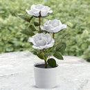 #A 3LED Rose Flower Solar Light Bonsai Flowerpot Garden Indoor Balcony Decor Lam