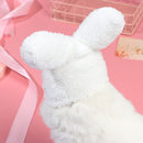 Costume Accessories Pets Funny Easter Easter Cap Bunny Hat Rabbit Hat Dogs