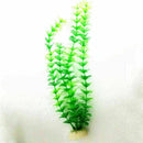 Aquatic plant Live Aquatic Aquarium Tropical Tank Plants C9T7 3 V5Q6 of I9D6