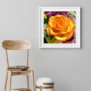 5D Diamond Painting Roses Bloom Full Square Drill Mosaic DIY Rhinestone Arts
