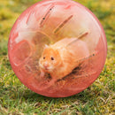 Pet Fitness Running Ball Plastic Solid Grounder Rodent Hamster Mini Jogging B