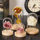 Jar Plants Terrarium Dust Cover Flower Storage box Wooden base Glass cloche