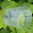 100pcs 5.5cm Nursery Pot/Plastic Nutrition Cup/Plastic Pots Nursery S0T7